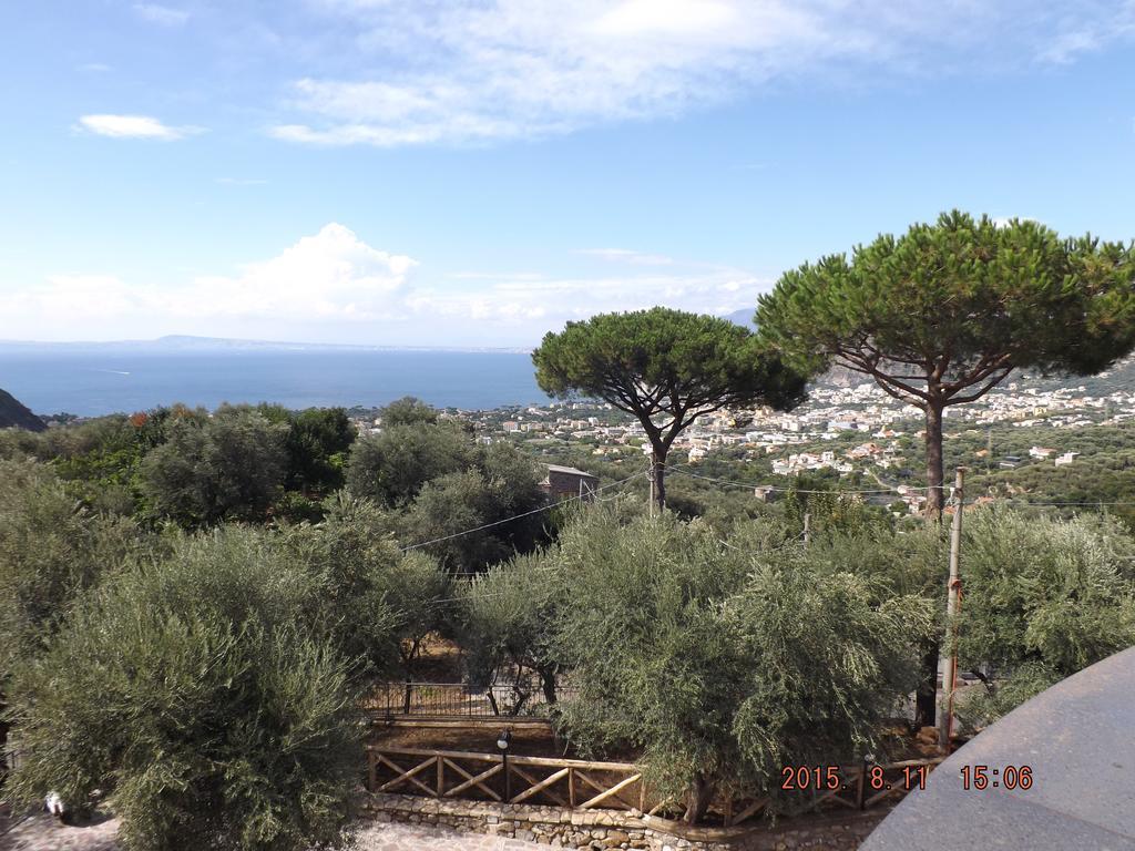 Appartamento Villa Degli Ulivi Sant'Agnello Quarto foto